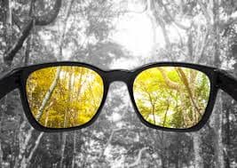 Achromatopsia / Complete color blindness