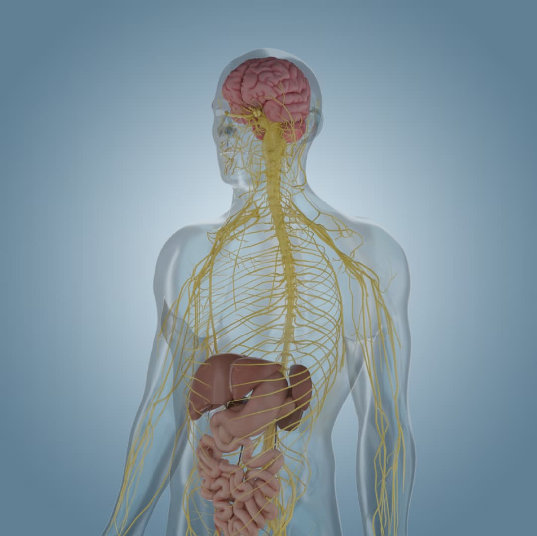 Brain-gut axis
