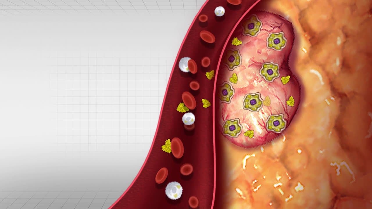 FortiHealth - Targeting fortilin levels in a blood sample to detect cancer | 2D Medical Animation
