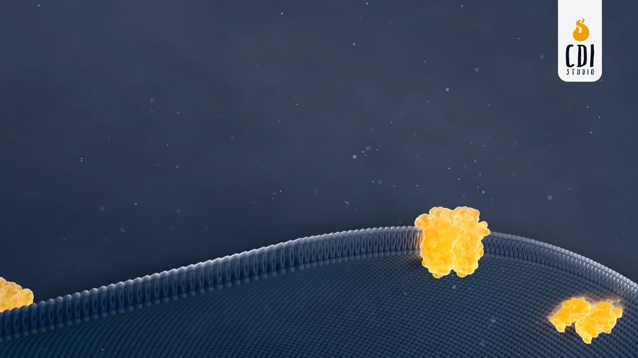  How a Potassium Channel Works | 3D Medical Animation