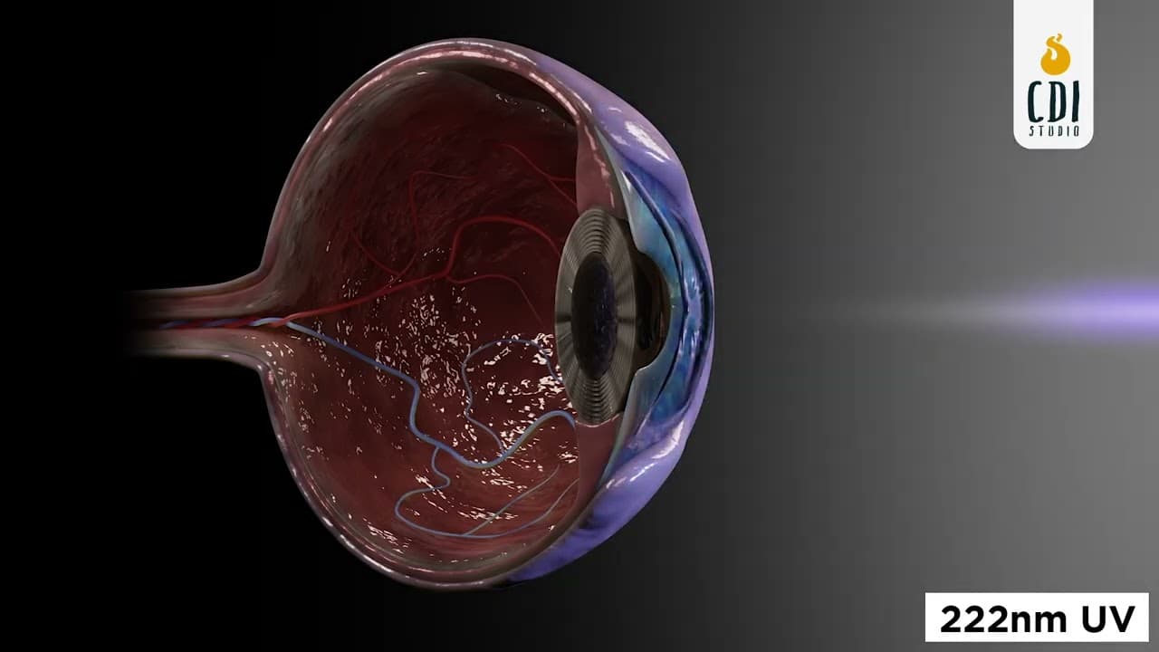 245nm UV Light vs 242nm UV Light | 3D Medical Animation