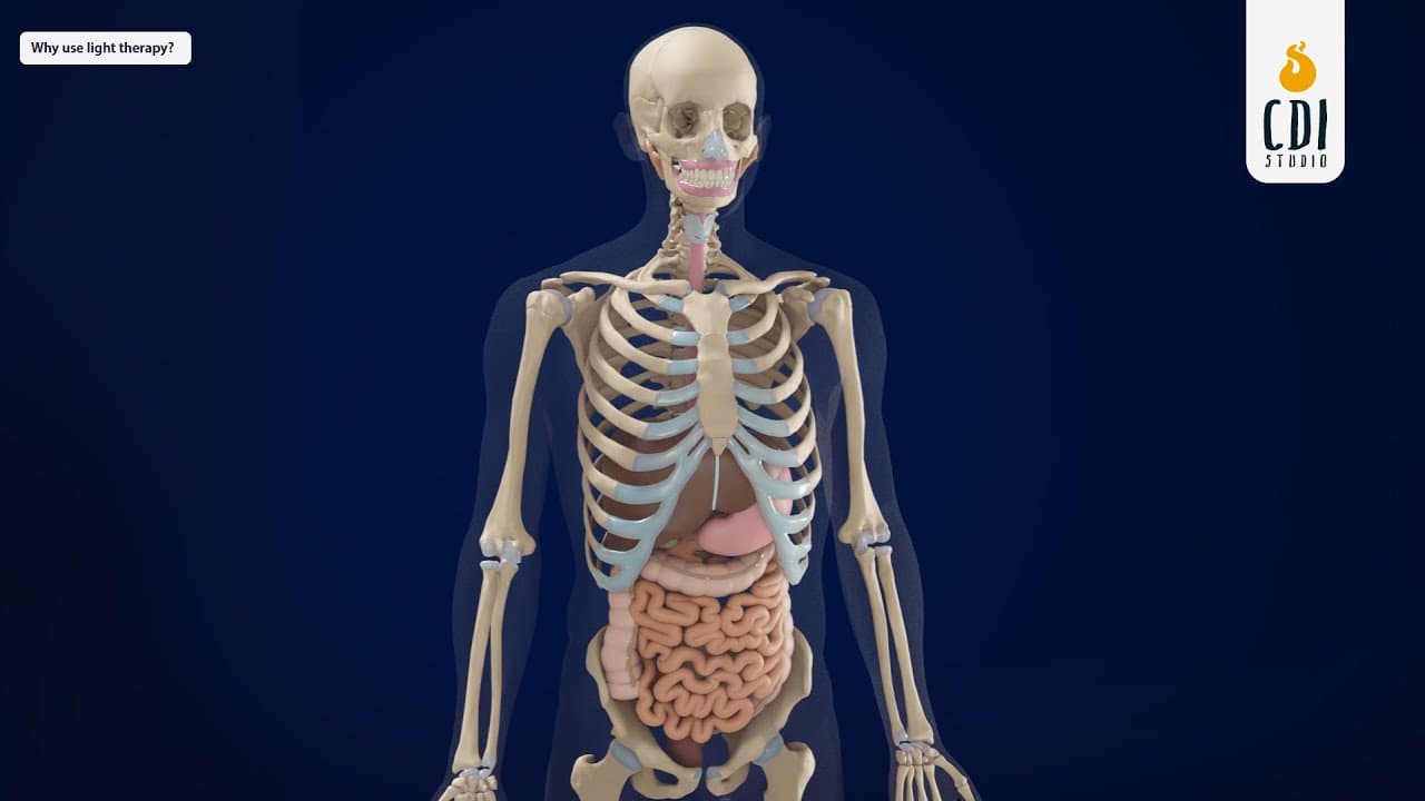 What is Light Therapy and how it works? | 3D Medical Animation